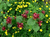 2010-06-13_11-52-41_0049