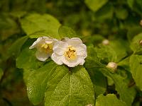 2013-06-23_10-22-27_0011