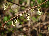 2012-03-30_09-03-10_0035