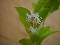 2013-07-06_17-32-52_0108