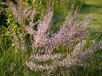 2013-06-07_17-41-38_0009