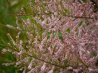 2012-06-07_09-27-22_0148