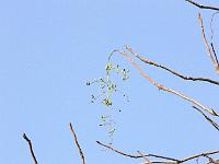 10-11-2006_10-35-04_03