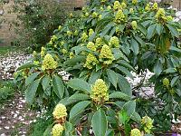 13-05-2006_07-25-52_93