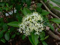 2010-06-17_08-07-25_0004