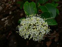 2010-06-17_08-07-45_0011