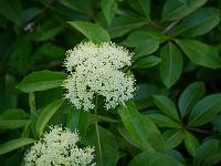 2014-06-09_07-38-14_0022