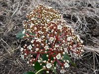 2010-05-11_16-15-38_0069