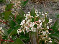 2009-07-01_09-28-08_0122