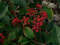 2010-08-19_09-45-03_0110