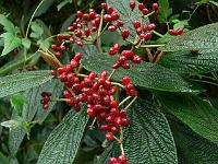 06-09-2006_15-00-00_04