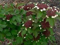 2010-06-08_08-41-18_0031