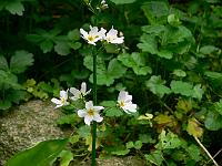 24-05-2007_09-08-20_02